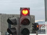 Walbeobachtung mit Ambassador bei Akureyri