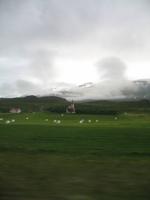 Walbeobachtung mit Ambassador bei Akureyri