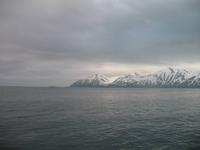 Walbeobachtung mit Ambassador bei Akureyri