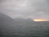 Walbeobachtung mit Ambassador bei Akureyri