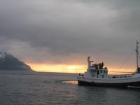 Walbeobachtung mit Ambassador bei Akureyri