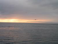 Walbeobachtung mit Ambassador bei Akureyri