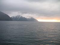 Walbeobachtung mit Ambassador bei Akureyri