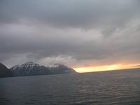 Walbeobachtung mit Ambassador bei Akureyri