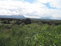 Lava-Labyrinth in Dimmuborgir