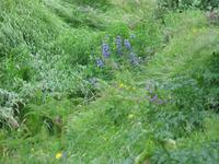 Heimatmuseum von Skógar