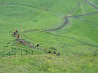 Wasserfall Skógafoss