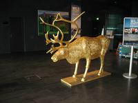 Konzerthaus Harpa in Reykjavík