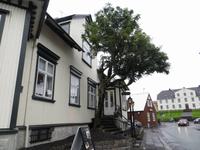 Restaurant Skólabrú in Reykjavik