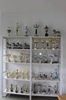 Pokal-Sammlung auf dem Pferdehof Flugumýri