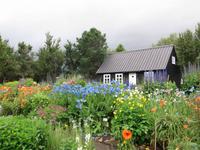 Botanischer Garten in Akureyri