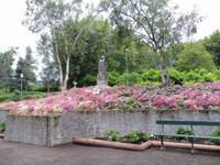 Botanischer Garten in Akureyri