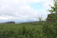 Àsbyrgi - Nationalpark