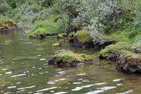 Àsbyrgi - Nationalpark