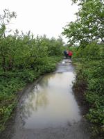 Lava-Labyrinth Dimmuborgir