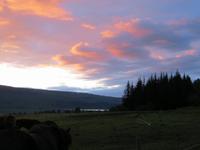 Nach dem Ausritt mit den Islandpferden