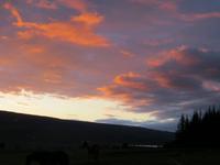 Nach dem Ausritt mit den Islandpferden