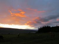 Nach dem Ausritt mit den Islandpferden