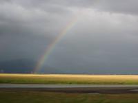 Regenbogen auf der Rückfahrt nach Höfn