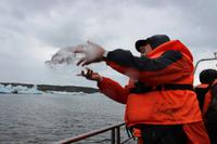 Echtes Gletschereis aus der Gletscherlagune