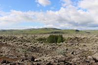 Blick auf ein Lavafeld