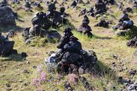 Kleine Steinwarte am Lavafeld