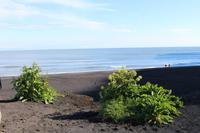 Blick auf den Schwarzen Sandstrand Vik