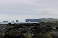 Blick auf die Felsen von Reynisdrangar