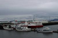 Hafen von Reykjavik 