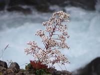242_am Wasserfall ohne Namen