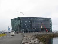 445_Reykjavik - Harfe