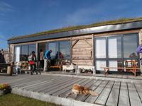 Islands Pferde in Flugumyri