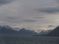 Walwatching im Eyjafjordur