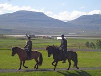 Rundreise Island – Naturparadies im Atlantik