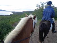 Rundreise Island – Naturparadies im Atlantik