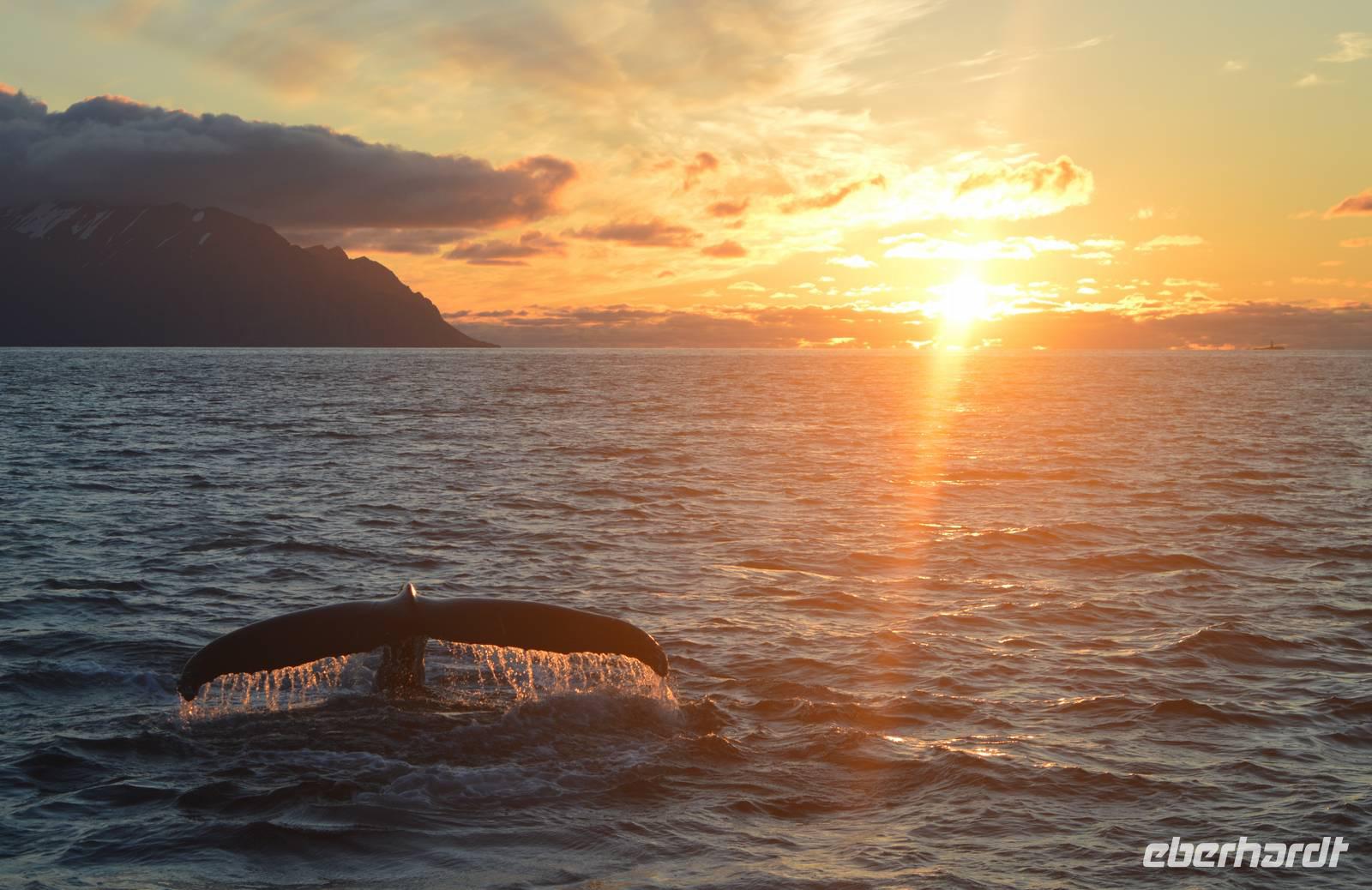 Rundreise Island – Naturparadies im Atlantik