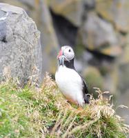Rundreise Island – Naturparadies im Atlantik