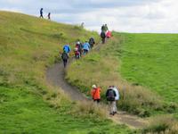 Spaziergang am Myvatn-Mückensee