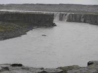 Selfoss