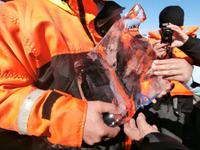 Gletschereis wird präsentiert