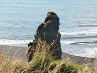 Strand an der Landspitze Dyrholaey