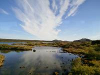 Thingvellir auf dem Goldenen Kreis