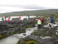 Am Godafoss