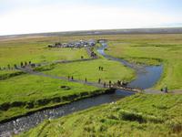 Am Seljalandsfoss