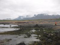 Am Strand auf Snaefellsnes