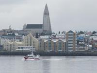 Blick auf Reykjavik