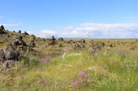 Blick vom Lavafeld