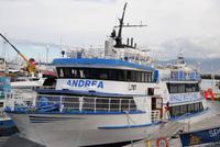 Boot der Walsafari