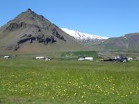 DSC00176