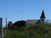 DSC00200